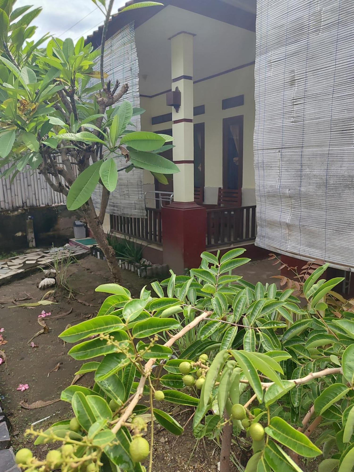Family Bungalow Gili Meno Buitenkant foto